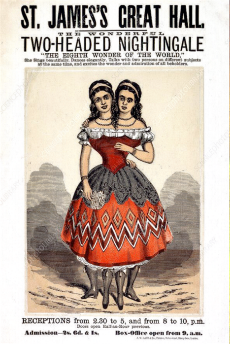 two-headed-nightingale-poster---stock-image---c01-2263