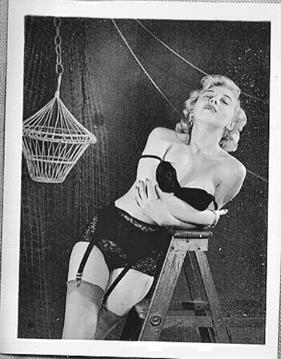 vintage-lingerie-stockings-and-suspenders-a748