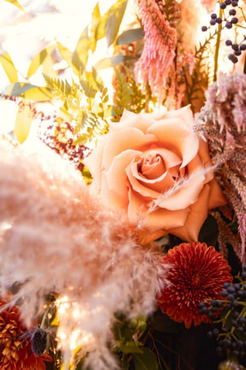 Free download and print of vintage flower pictures and photos – beautiful floral art and photography for decor and crafts.