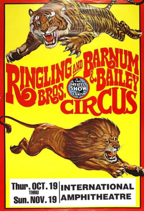 Free download and print of vintage circus posters – colourful retro artwork featuring classic big top acts, clowns, and acrobats.